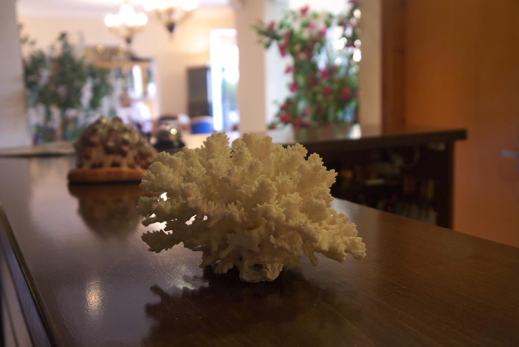 Fani Hotel Loutra Edipsou  Bagian luar foto